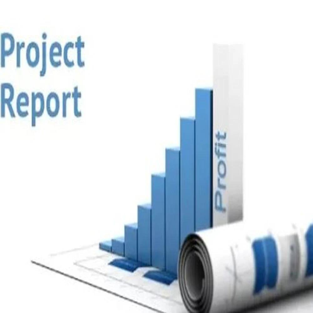 chartered-accountant-online-detailed-project-reports-1000x1000